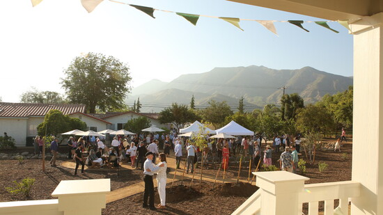 Photo Credit: Brian Thornhill