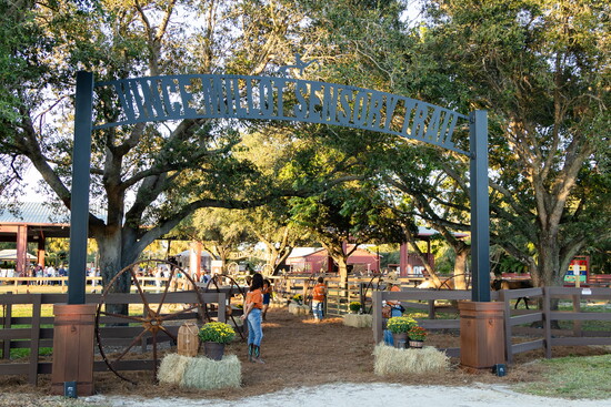 Bootstrap Boogie Barn Dance