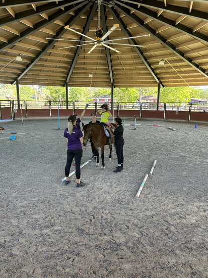 Occupational Therapy with Horses