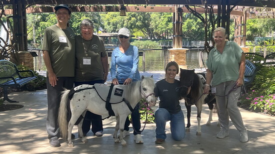 Mini Horse Therapy Program Volunteers