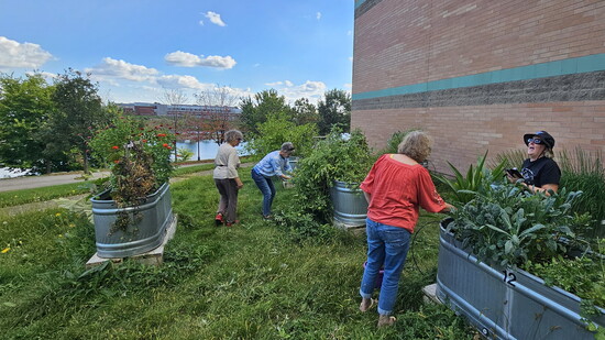 Maple Grove's Intergenerational Garden Club