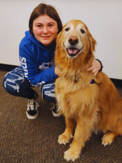 A Caring Canine therapy dog at a local high school