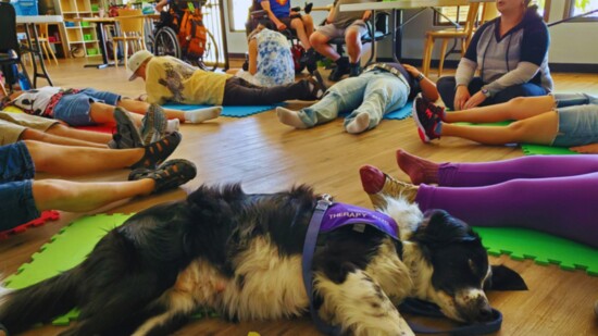 A Caring Canine therapy doga at an Adult Day Program