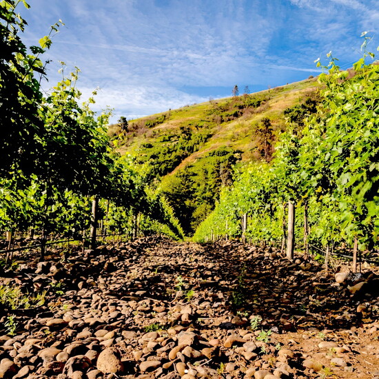 The Rocks District shape bold wines in the Walla Walla Valley AVA