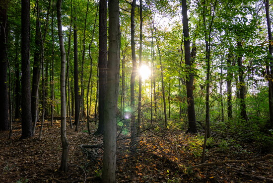 Indian Hills includes more than 3,500 acres of preserved land.