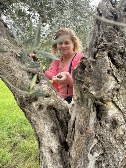 Filomena in her olive grove