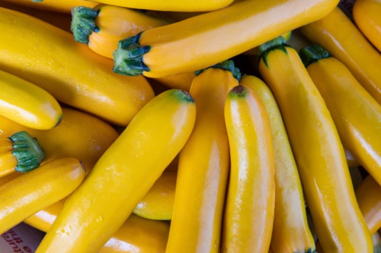 Squash is in season now at local farms. 