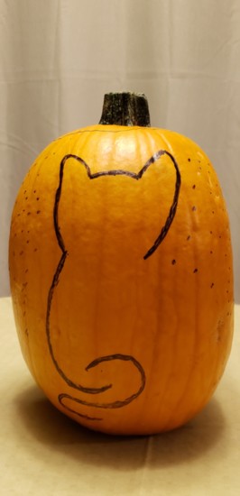 1. Sketch the design freehand onto the pumpkin with a permanent marker. 