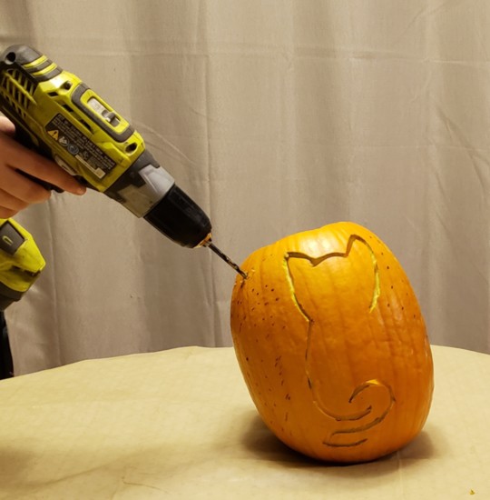 3. Use a 3/16” drill bit to drill holes around the pumpkin. This will create the “stars” that will frame the cat silhouette. 