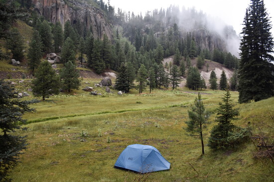 Camping in an alpine meadow