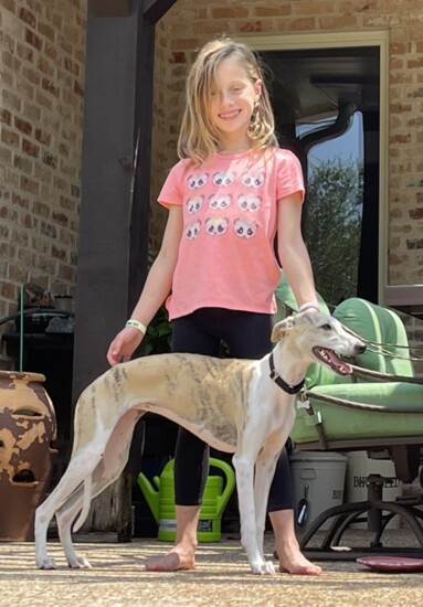 Daughter Liberty and Penny the Whippet!