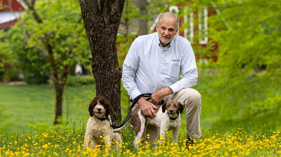 Jim gave all his breeding dogs Italian names. Male: Budino (pudding) Females: Spezia (spice) Miele (honey) Senape (mustard) Cannella (cinnamon) Notte (night) an