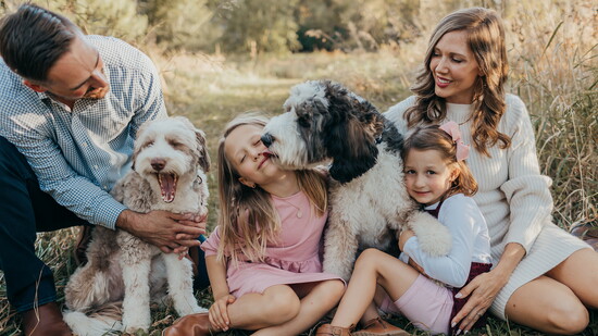 The Werner Family