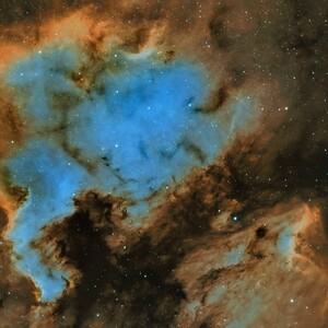 gallery5_image2_8x975_namerica_pelican_nebulas_trotz%20copy-300?v=1