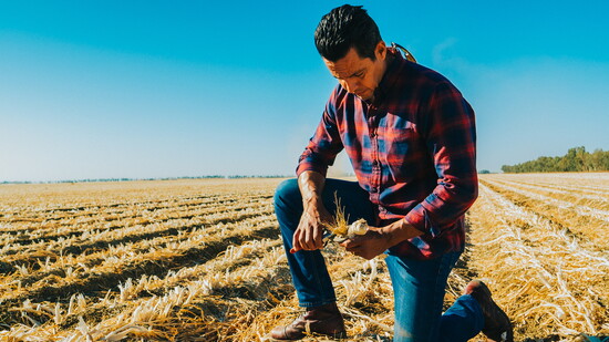 Juan Huizar returns to the garlic fields that shaped his work ethic.