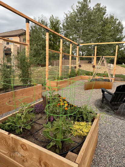 Plant warm weather vegetables