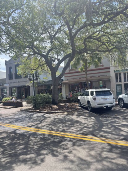 Oak Covered Downtown Streets