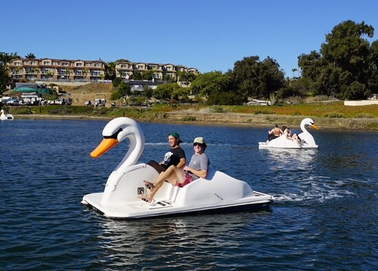 Swan pedal boats at California Watersports 