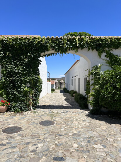 One of Rinehart’s favorite hotels ever, São Lourenço do Barrocal