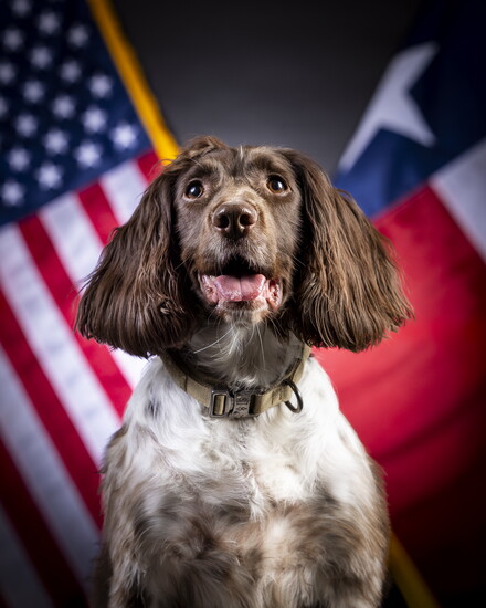 Koa | Photography by Daniel Arizpe