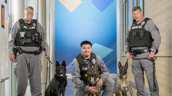 Officer Hindman, K-9 Zeke, Officer Magallanes & K-9 Marley, K-9 Rita, Officer Mayo | Photography by Sunny Rajabi