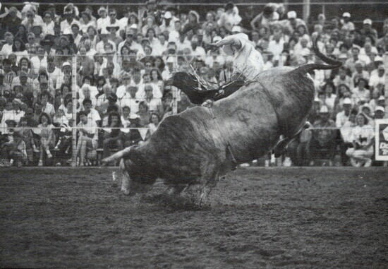 Bull riding in the early 90's 