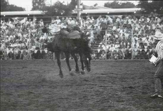 Bronc riding in the early 90s