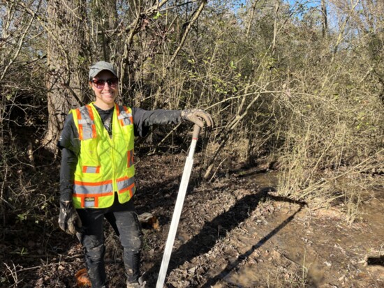 Invasive Species Removal