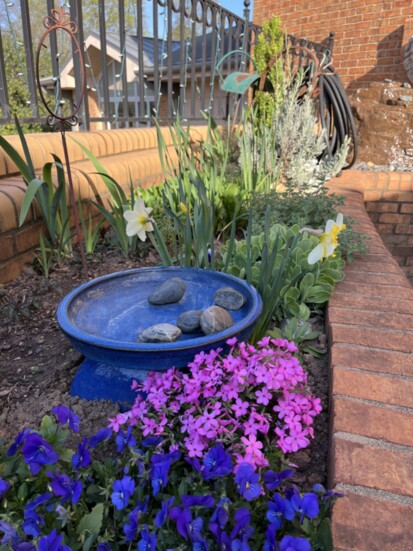 Sensory Garden