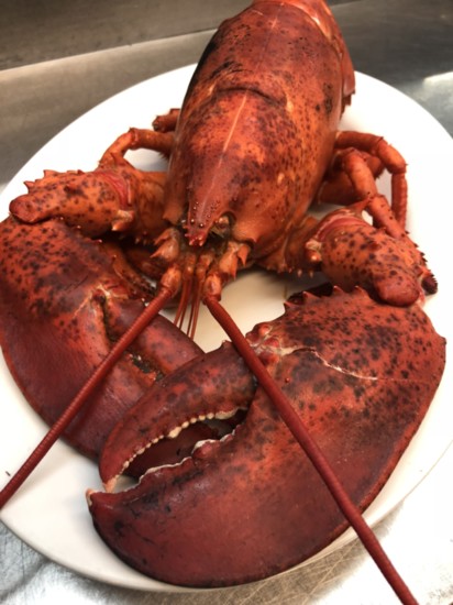 Full lobster