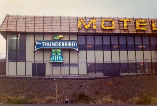 Thunderbird Motel signs in Bellevue. Kenton did both the glass bird and glass M-O-T-E-L letters.