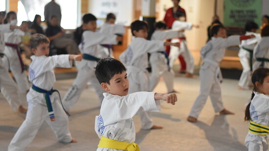 Students hard at work