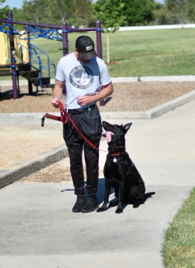 Austin at work!