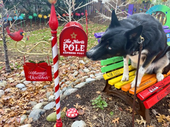 There's plenty for kids (and pets) to see at The Kindness Rocks Project (Va.). Credit: The Kindness Rocks Project (Va.)