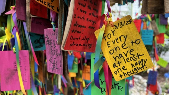 The Wishing Tree is a place to make a wish, express gratitude, and reflect. Credit: The Kindness Rocks Project (Va.) 