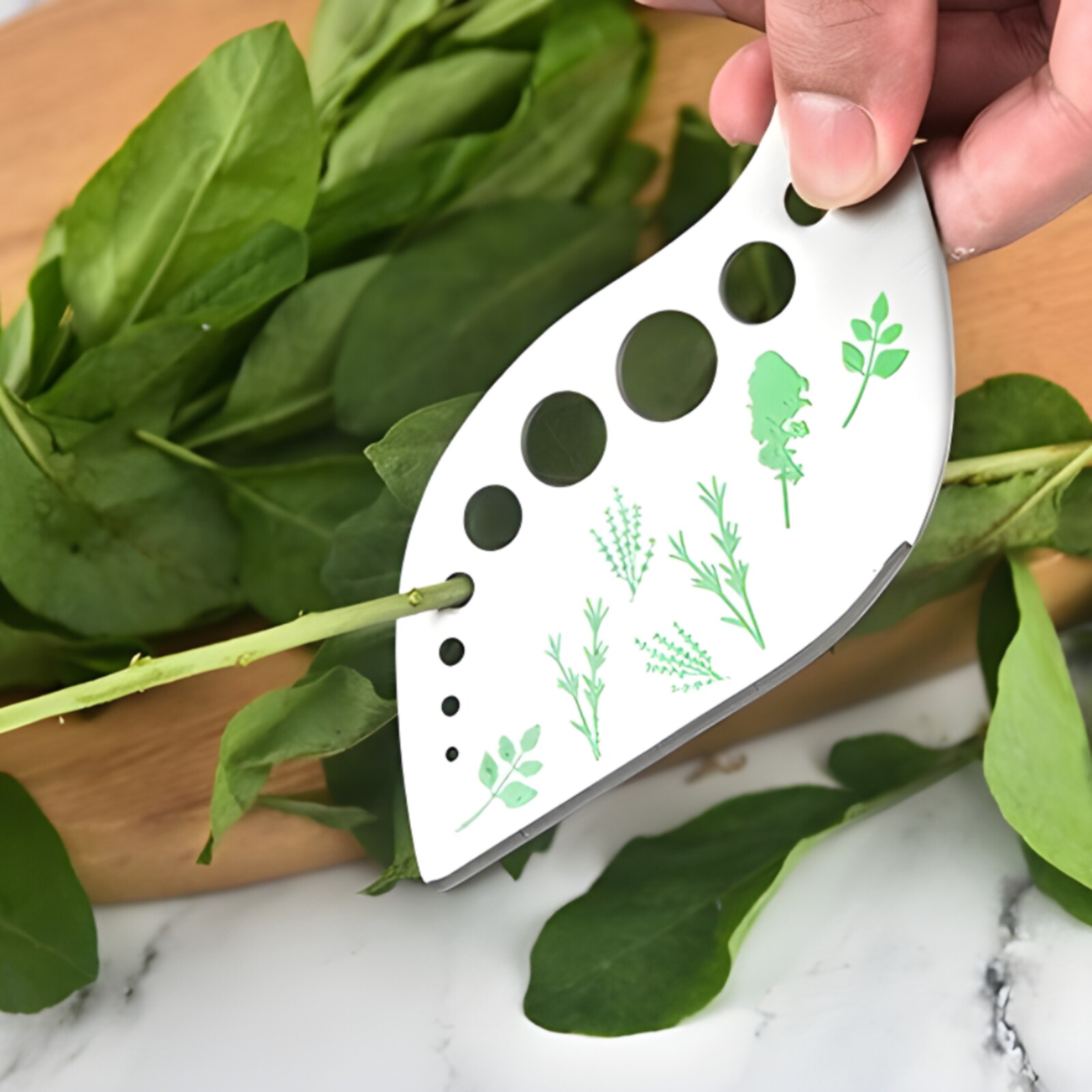 https://static.citylifestyle.com/articles/kitchen-gadgets-that-simplify-cooking-and-food-prep-2/Herb%20Stripper-1600.jpg?v=1