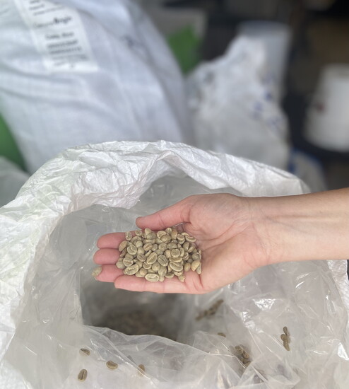 Pete Dionne works with family-owned growers in regions throughout the world to get high quality hand-picked coffee beans