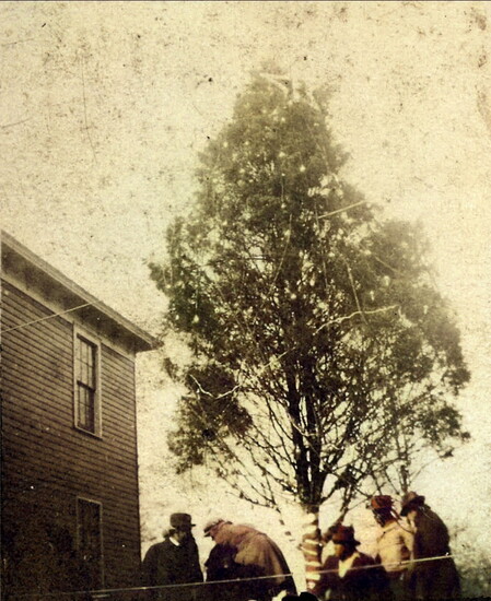African American Christmas Tree, 1922 (colorized). (Beck Cultural Exchange Center)