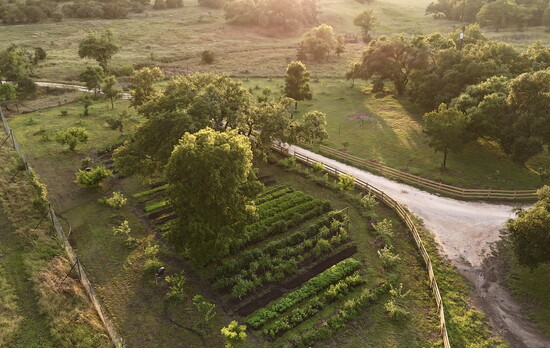 Photo Credit: Songland Farms