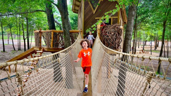 Treehouse Adventure Park