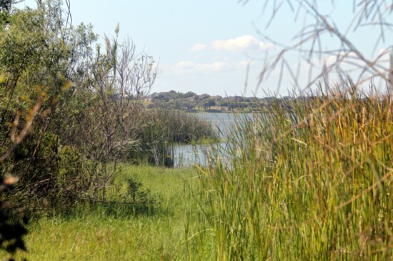 Lake Corpus Christi State Park