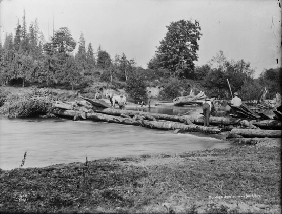 This 1899 image depicts City of Seattle crews erecting a crude dam across the Black River (Seattle Municipal Archives). 