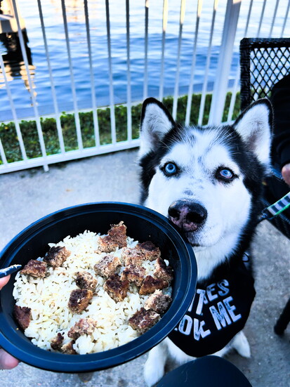 Even pets dine lakeside with special meals from Conroe Lake House’s puppy menu.