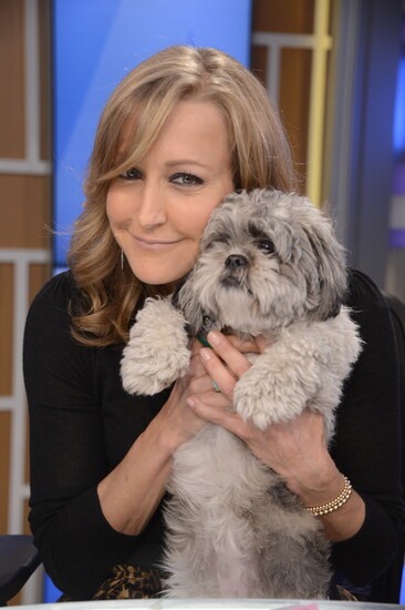 Photo Credit: ABC News.