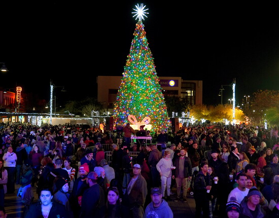 City Tree Lighting