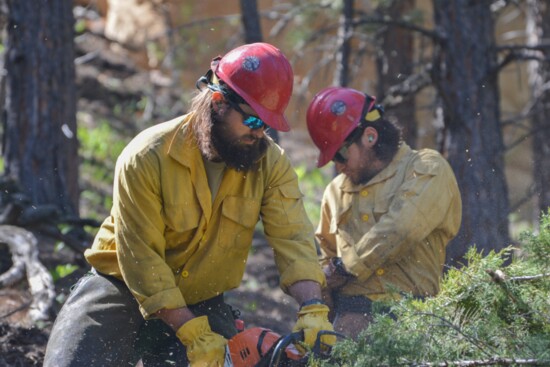 The Devil's Canyon annual chainsaw training. PC: Sarah Beckwith, BLM