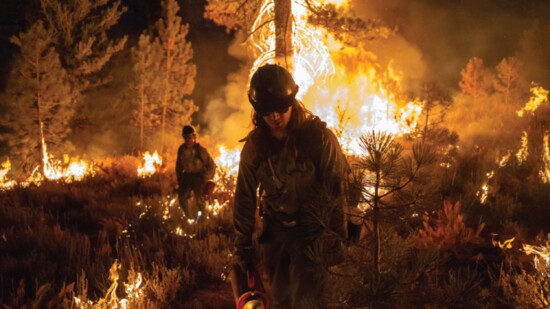 The Ruby Mountain interagency hotshot crew conducts burnout operations during the Dixie Fire. PC: Joe Bradshaw, BLM