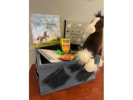 Silent Auction item in 2025 included the award winning The Horse Who Wanted to Fly picture book PC Learning Lab