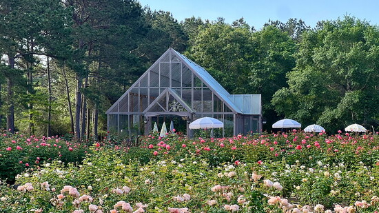 The Glass House at Life In Rose provides stunning photo opportunities.