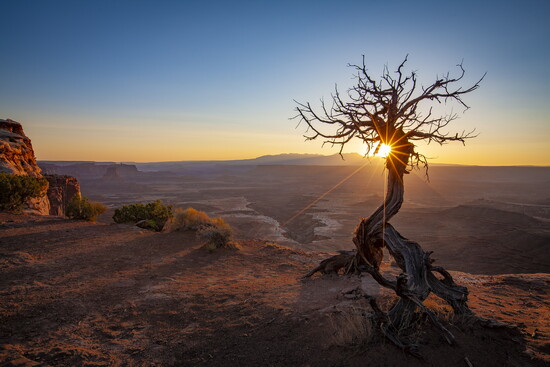 Canyonlands National Park, Utah. 
